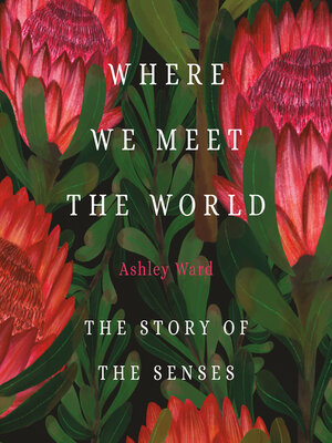 cover image of Where We Meet the World